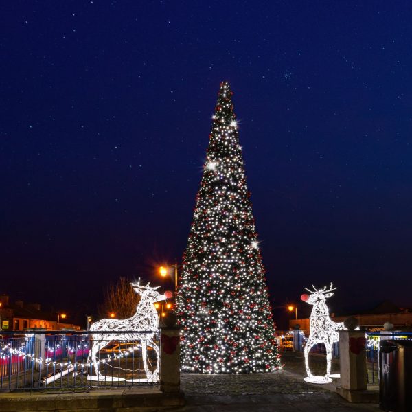 Ballinasloe Christmas Tree 2022