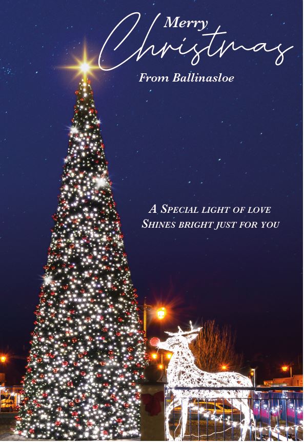Ballinasloe Area Community Development